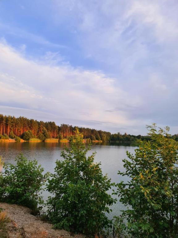 Agroturystyka U Siwego Rokitki  Bagian luar foto